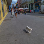Havana Catwalk